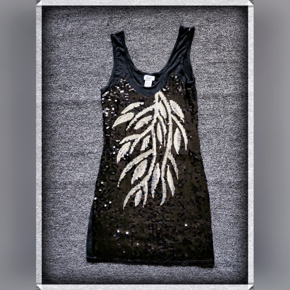 Charming  Charlie Size Small Top/Mini Dress